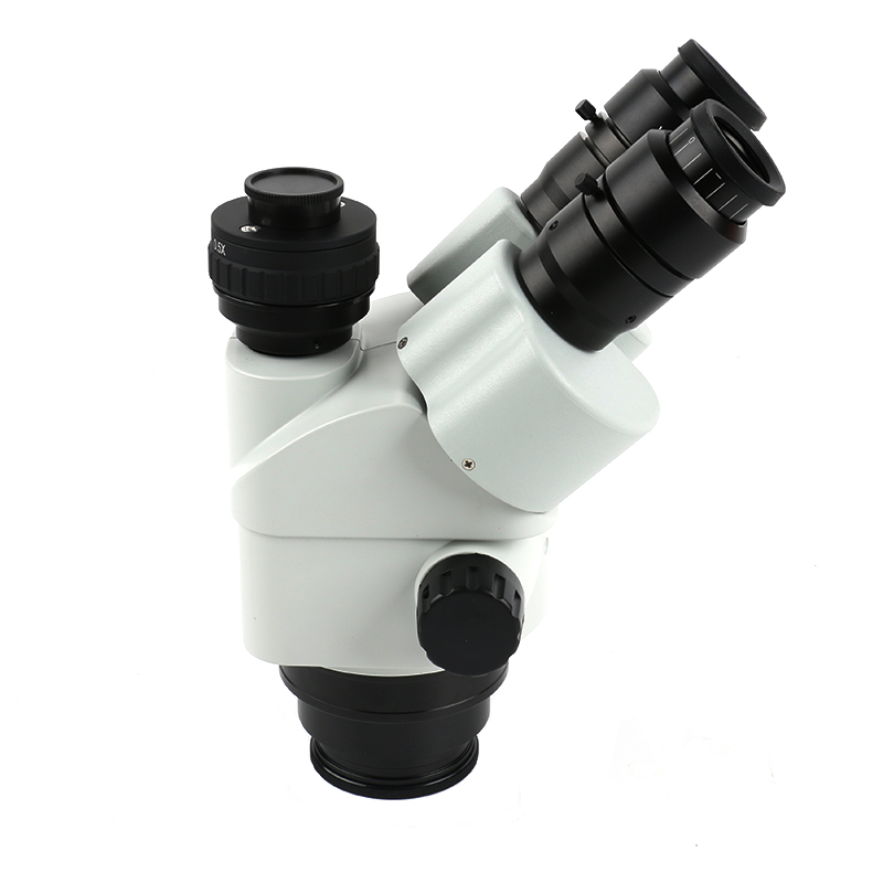 กล้องจุลทรรศน์สเตอริโอแบบสามตา - Trinocular Stereo Microscope 7X-45X บทวิจารณ์และราคา